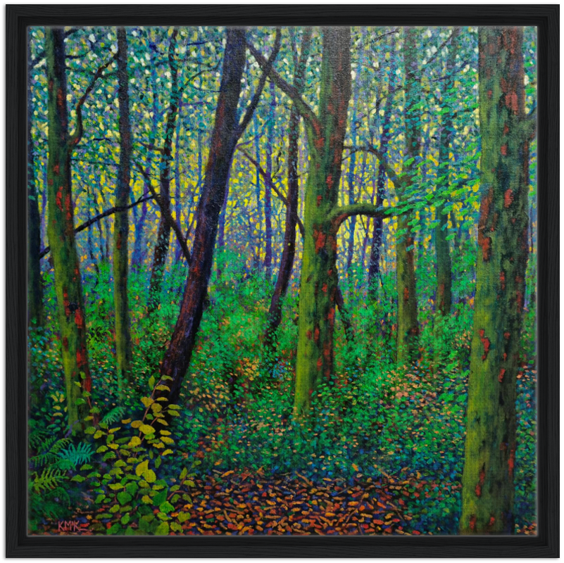 Where the Light Finds You