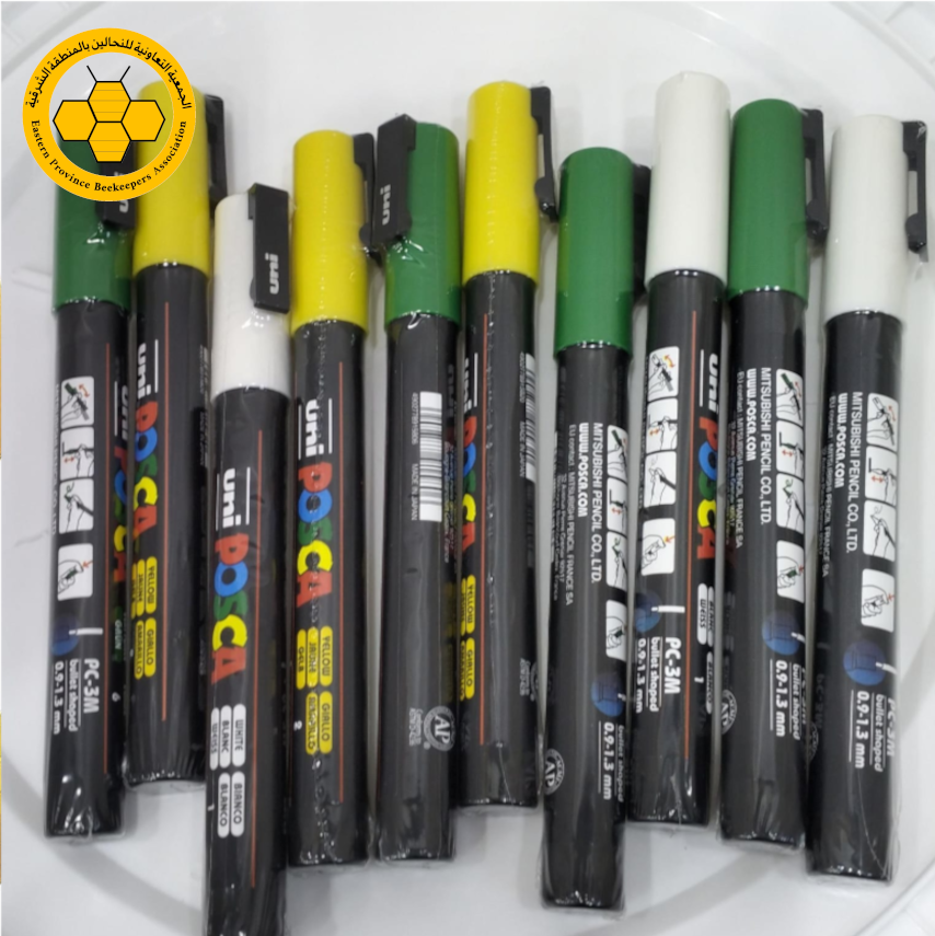 قلم تعليم للملكات