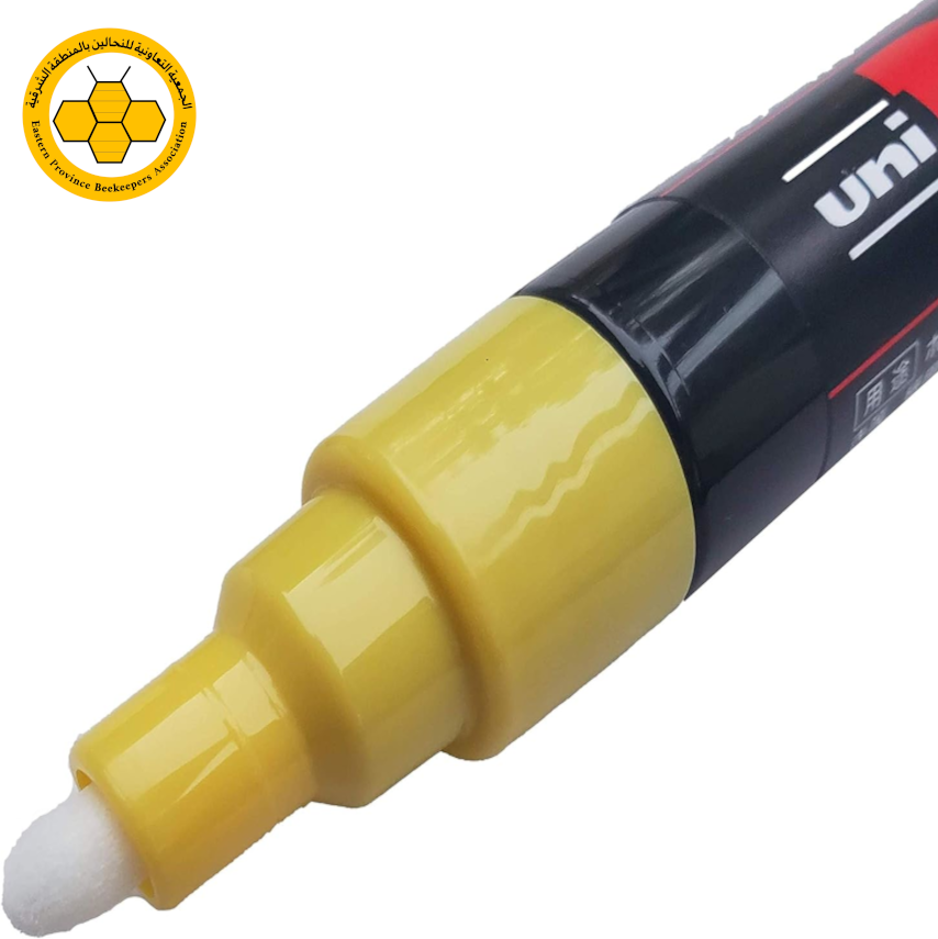 قلم تعليم للملكات