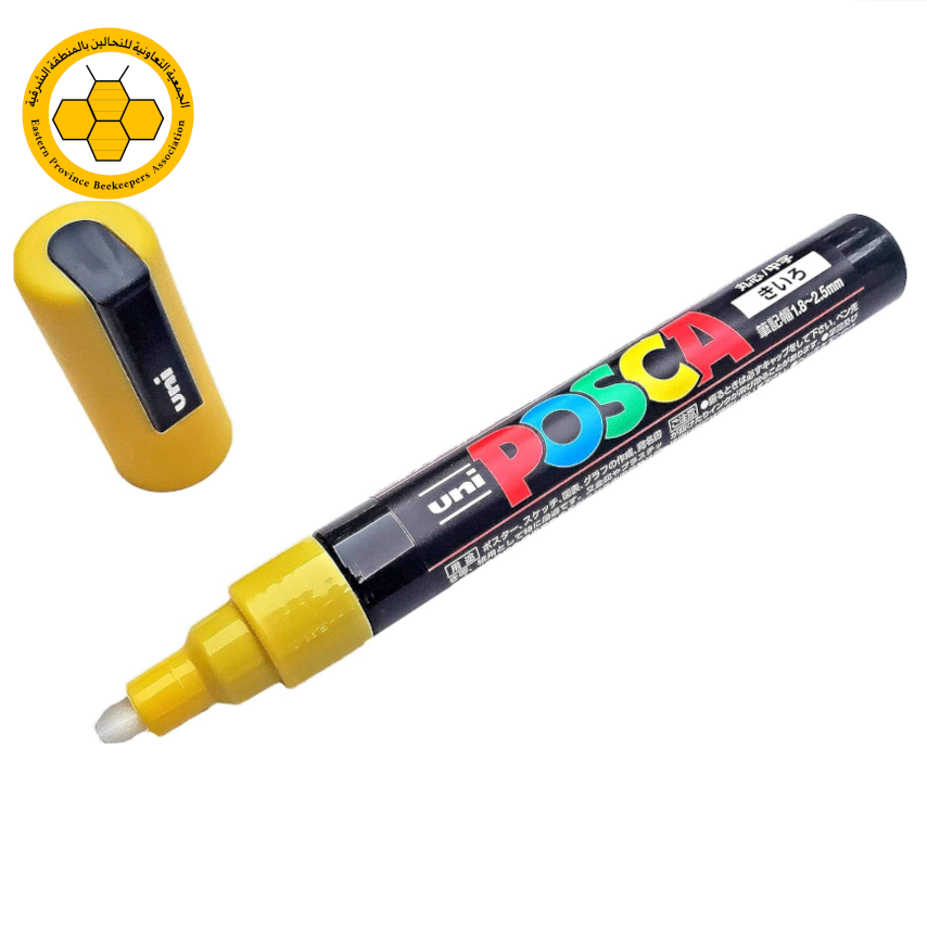 قلم تعليم للملكات