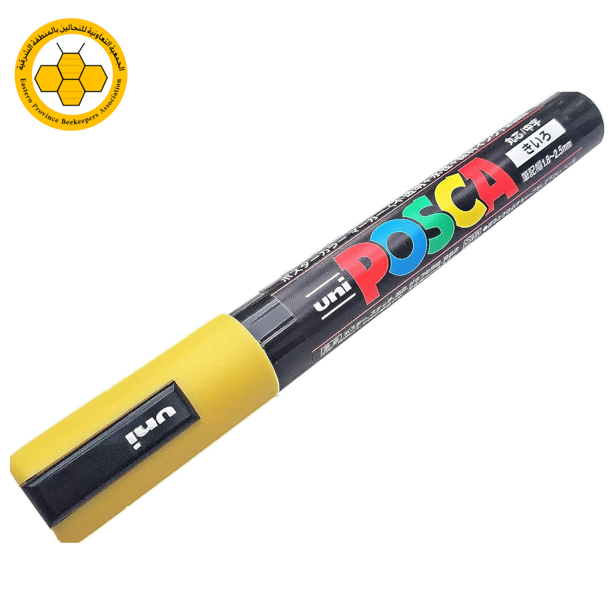 قلم تعليم للملكات