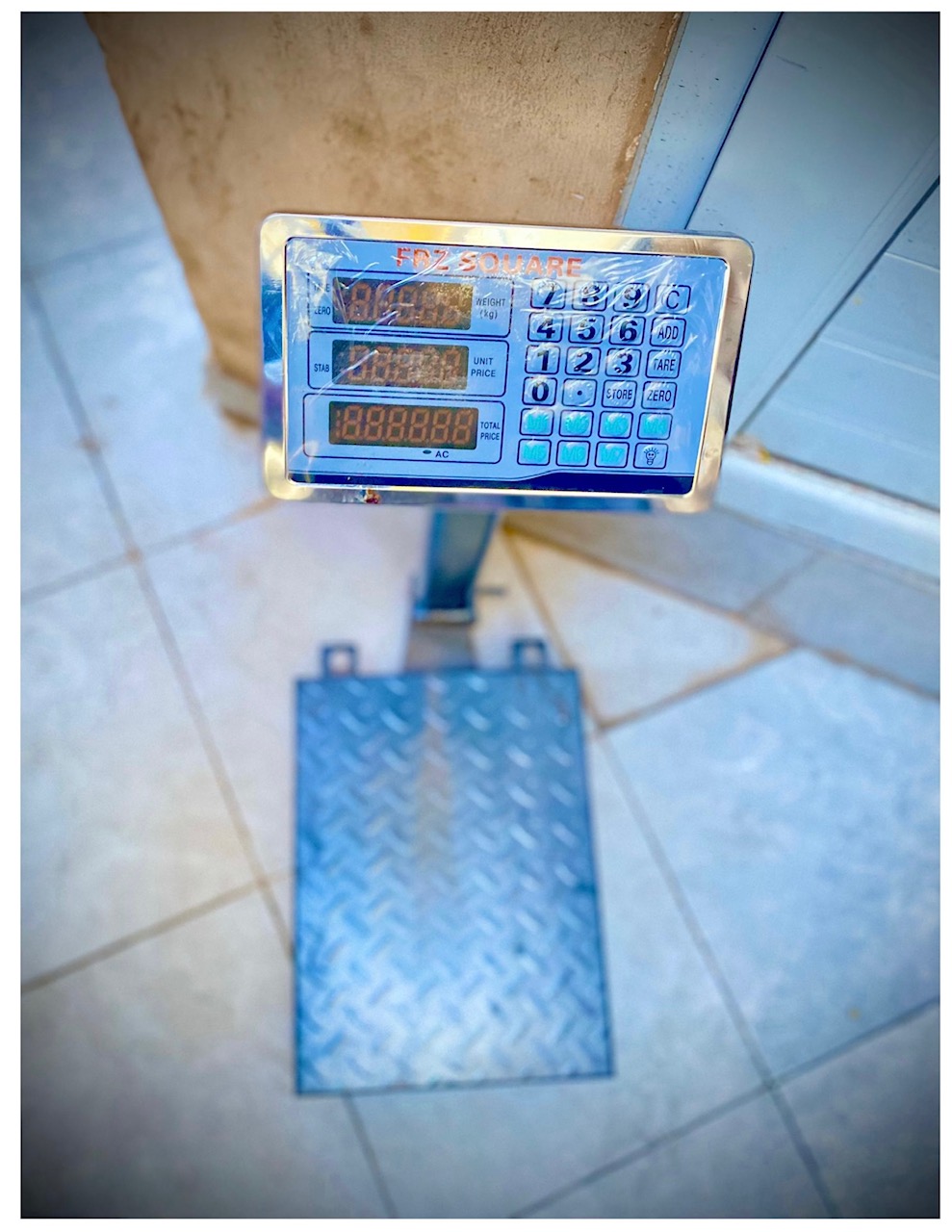 Guarded Platform Scales (300 kg)
