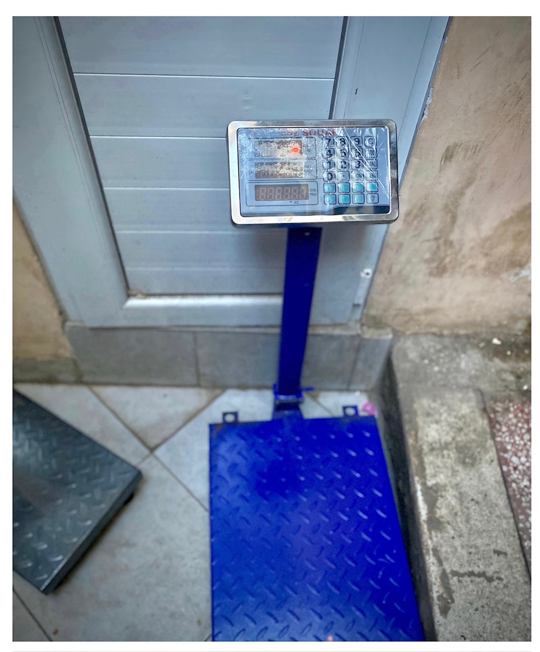 Guarded Platform Scale (100kg)