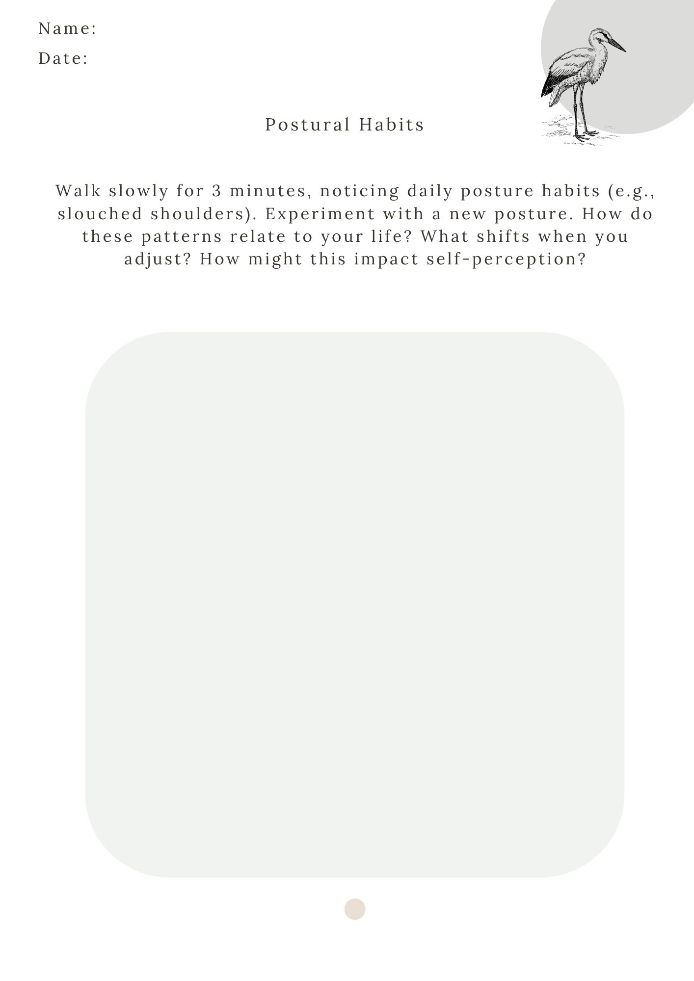 Mind Body Somatics Workbook