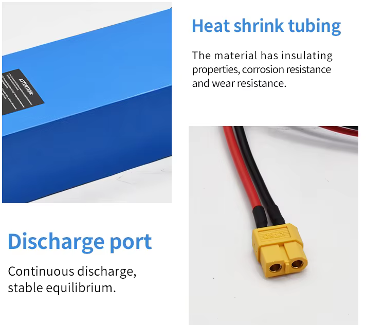 AXELIUM 36 Volt 8Ah Rechargeable Lithium Ion Battery Pack For EBike, E-cyle, Solar,etc