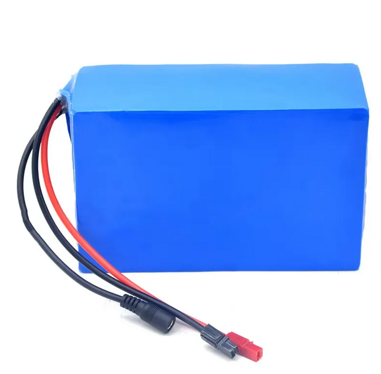 12V 30,000mAh(30Ah) Rechargeable Lithium-iron Phosphate LFP Battery Pack for Solar | Inverter/UPS | DIY Projects | LED Lights & other electronics applications
