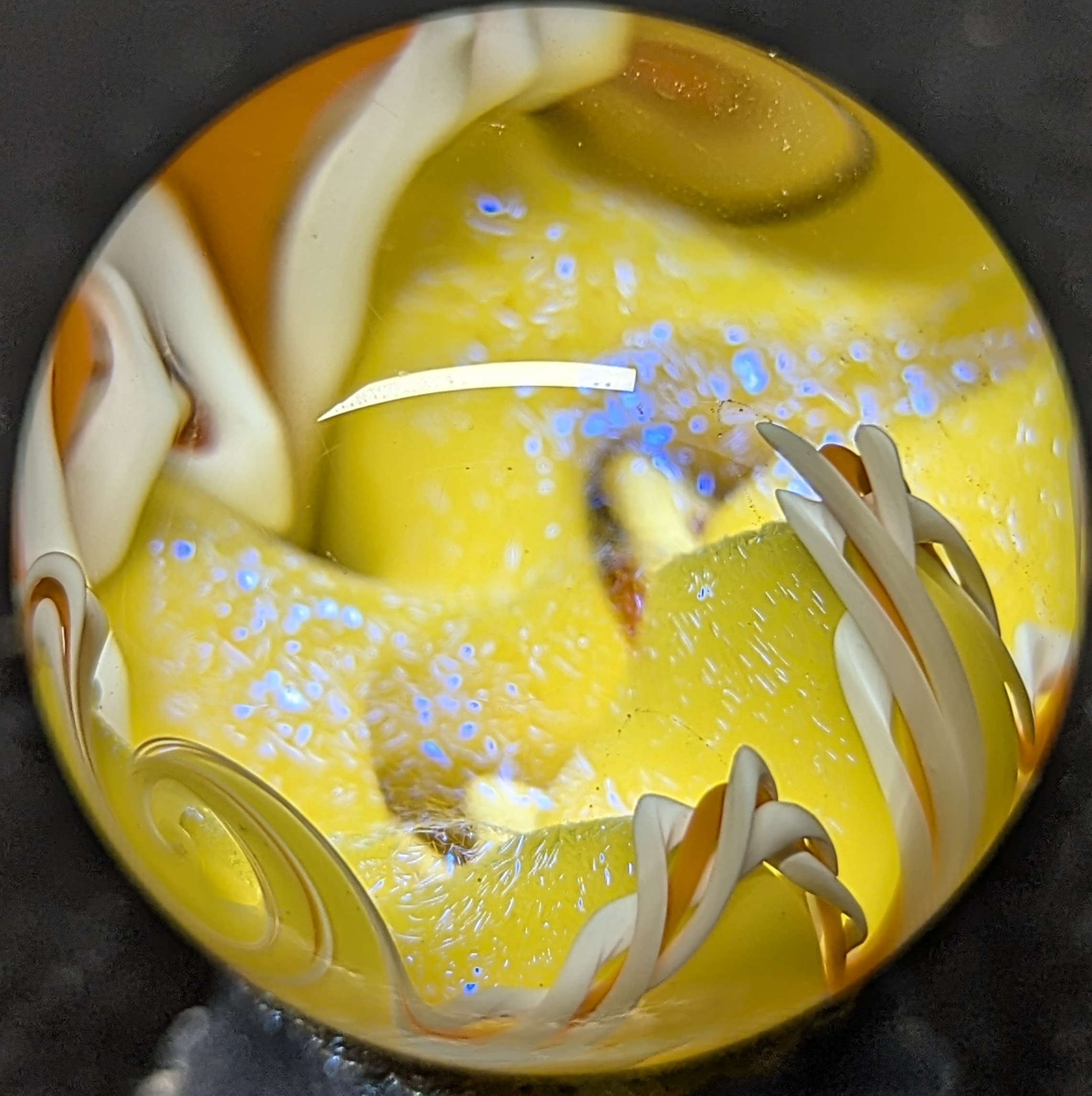 Lemon fruit burst Sparkle wave