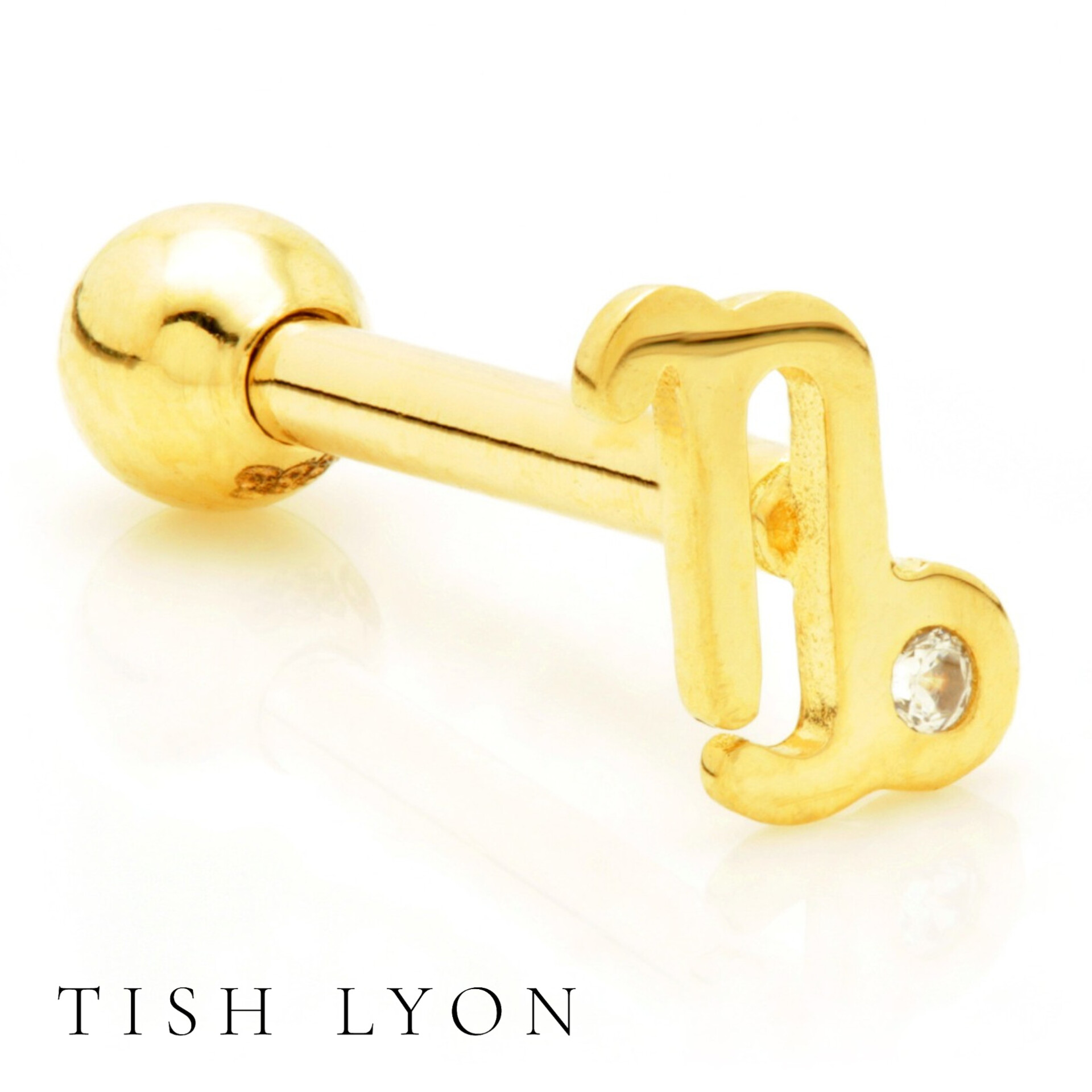 Capricorn Zodiac bar 