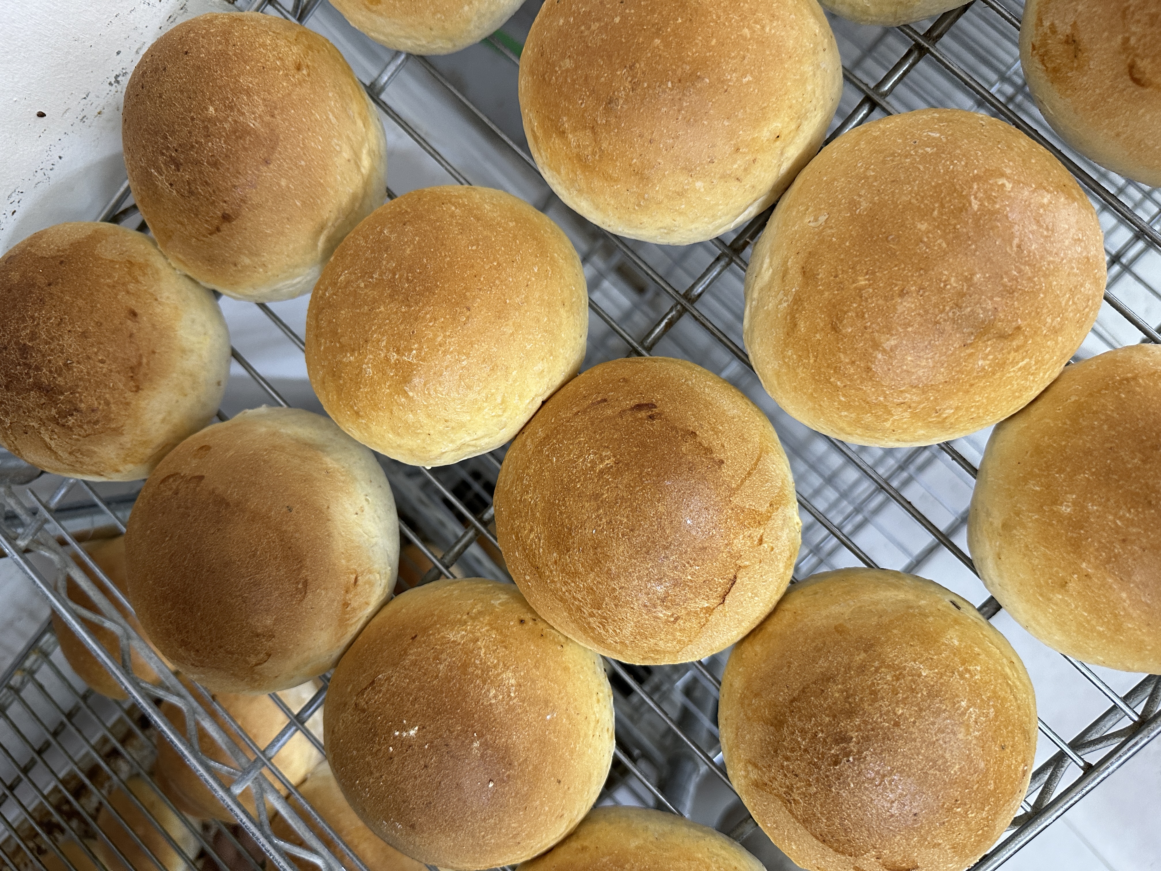 Pan para hamburguesa brioche
