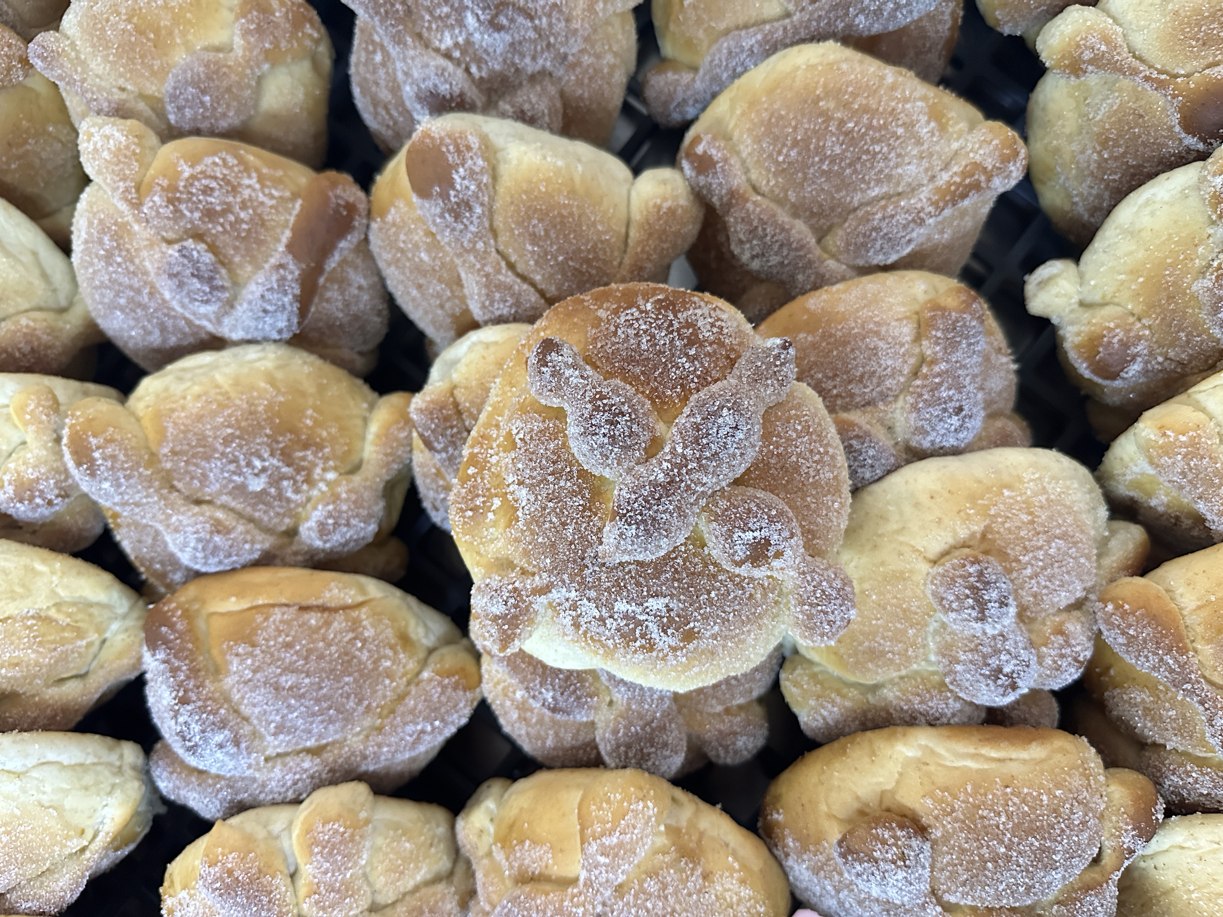 Pan de muerto con masa madre