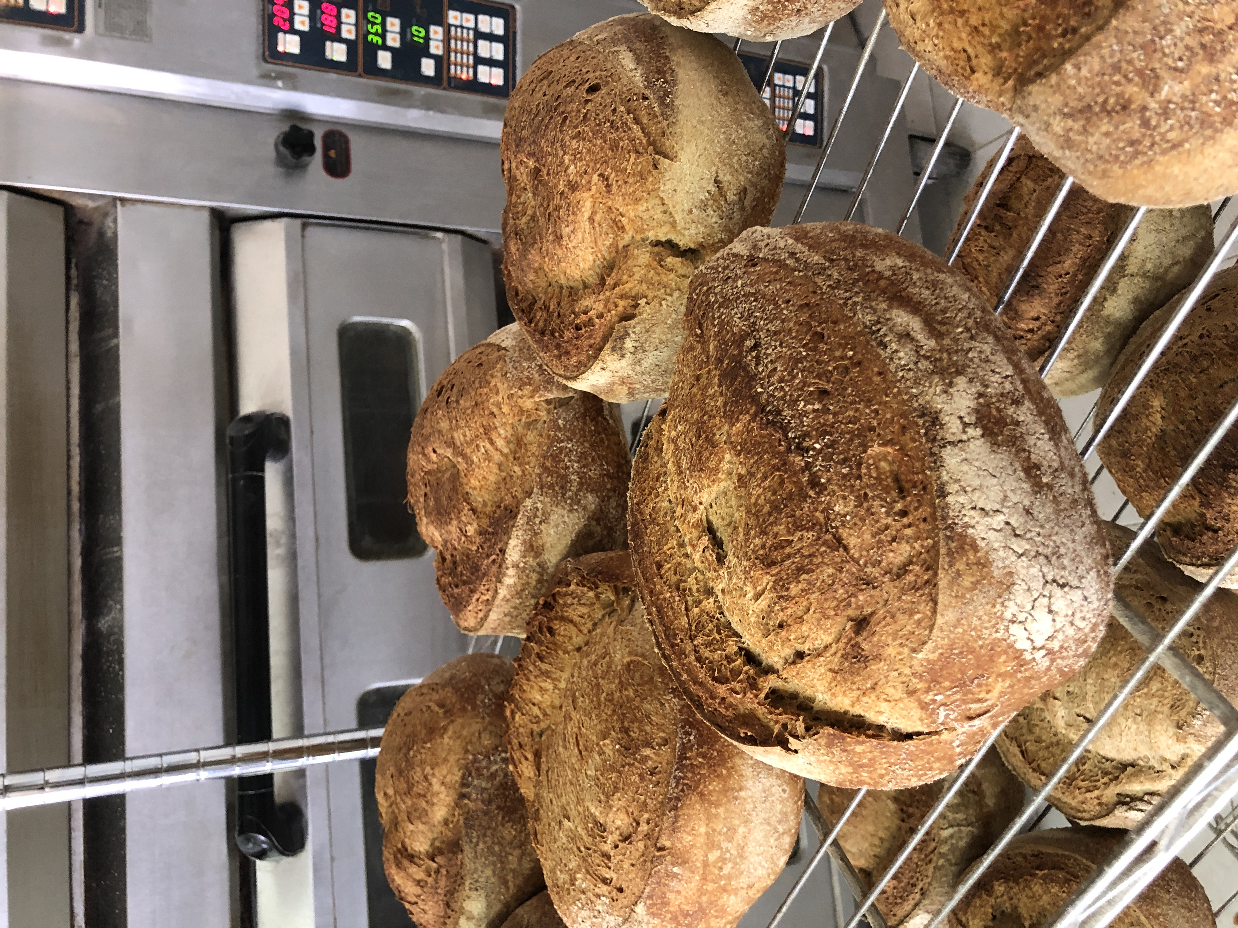 Pan rústico con centeno (masa madre)