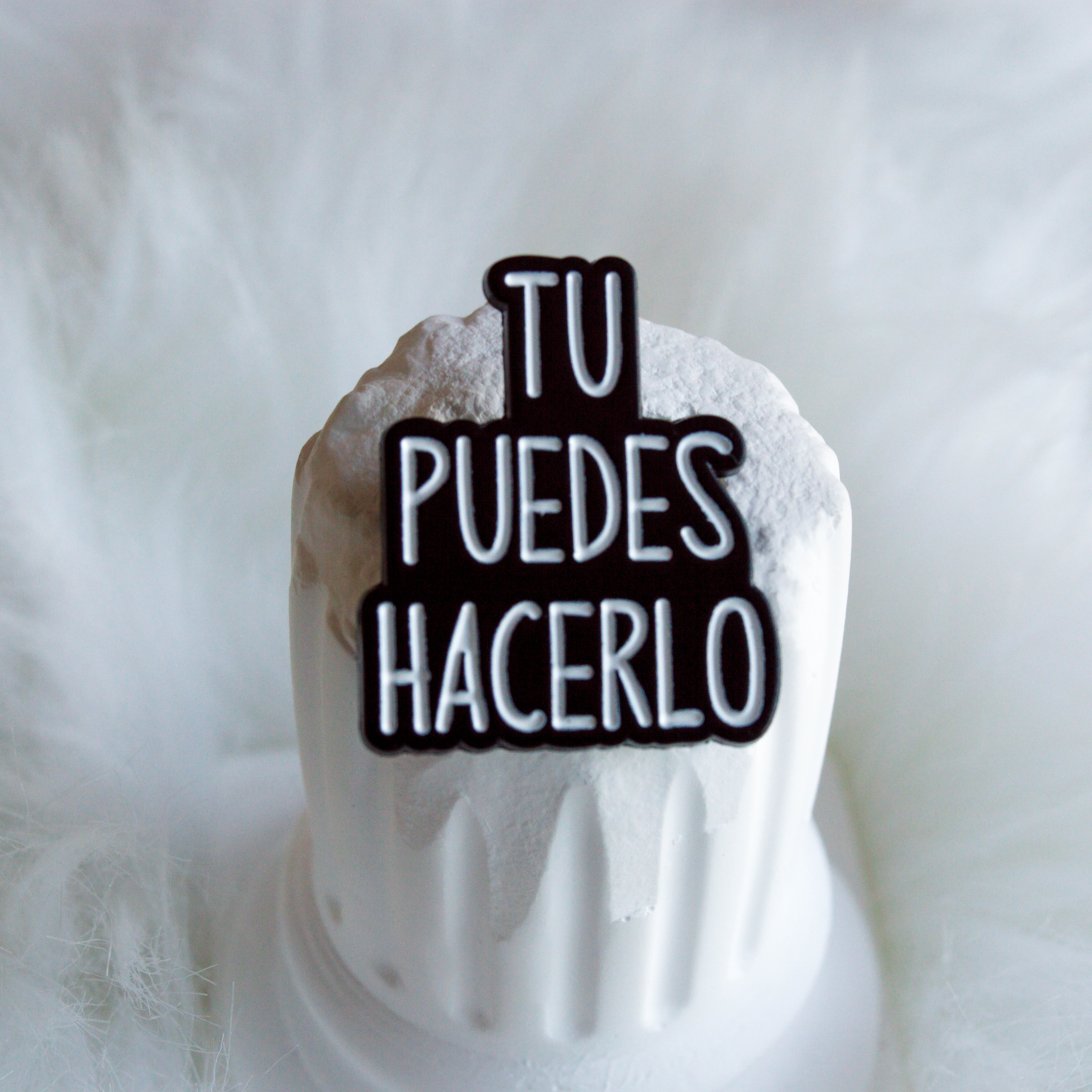 PIN TU PUEDES HACERLO