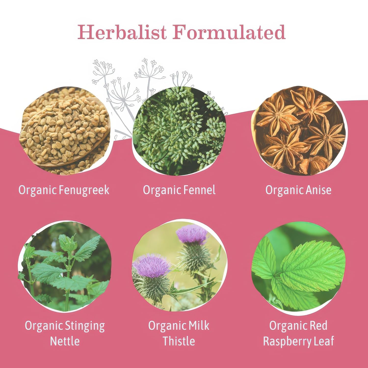Té Earth Mama Organic Milkmaid® | Bolsitas de té de hierbas para apoyo a la lactancia, suplemento de lactancia descafeinado para aumentar la producción de leche materna, con cardo mariano y fenogreco