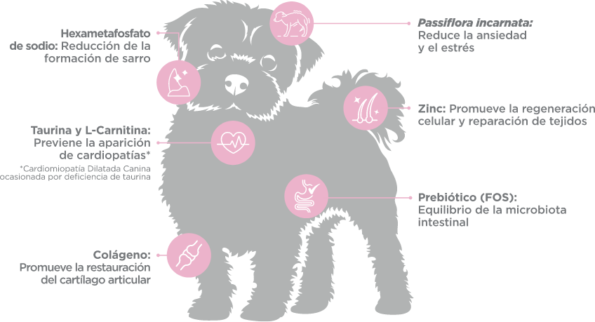 Alimento Nupec Super Premium Adulto Razas Mini