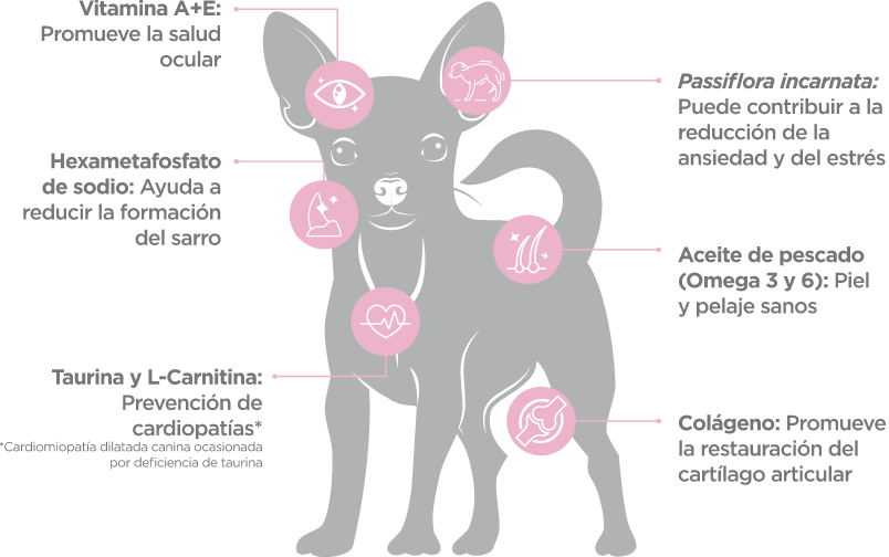 Nupec Senior Razas Mini