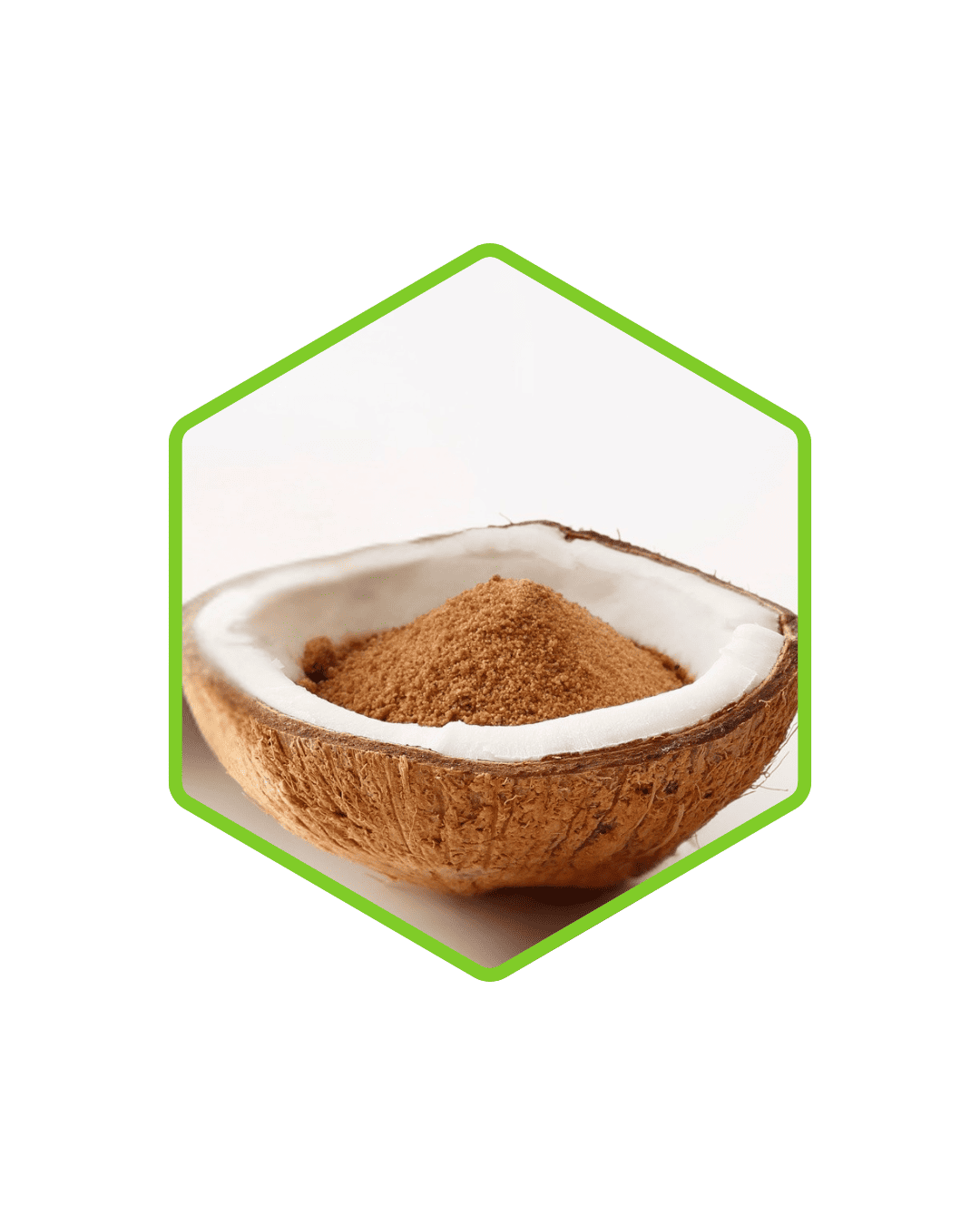 Organic Coconut Sugar Powder