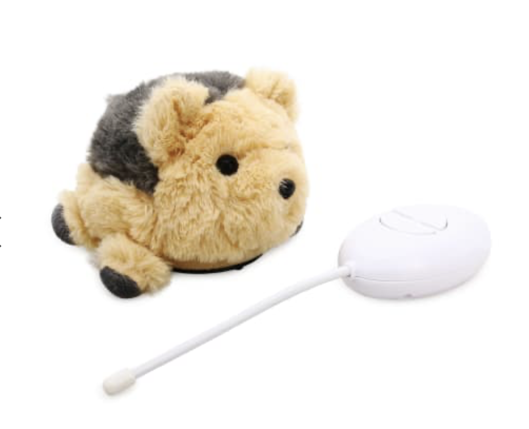 Amigos Animales Control Remoto Yorkie