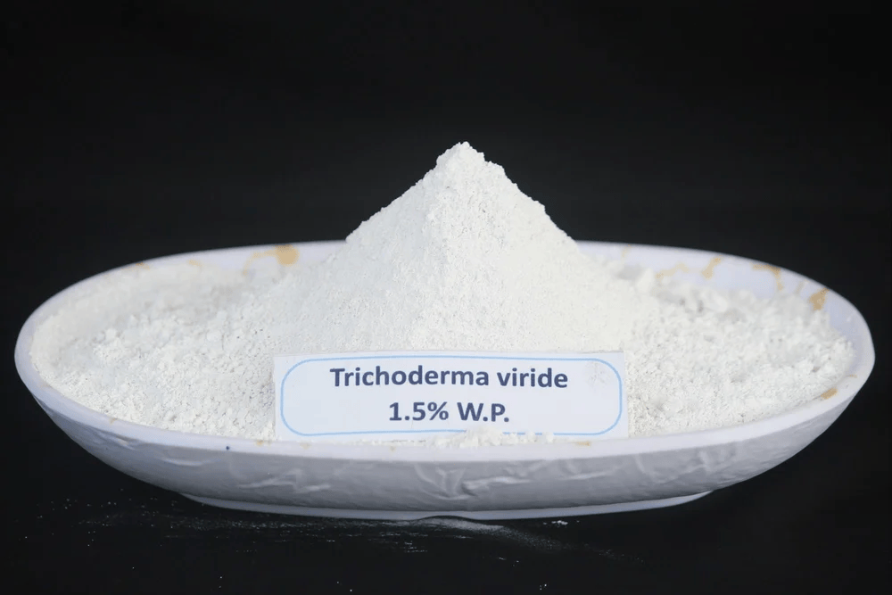 Trichoderma Viride 1.5% w.p.