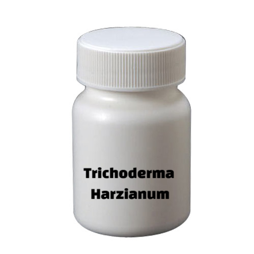 Trichoderma Harzianum