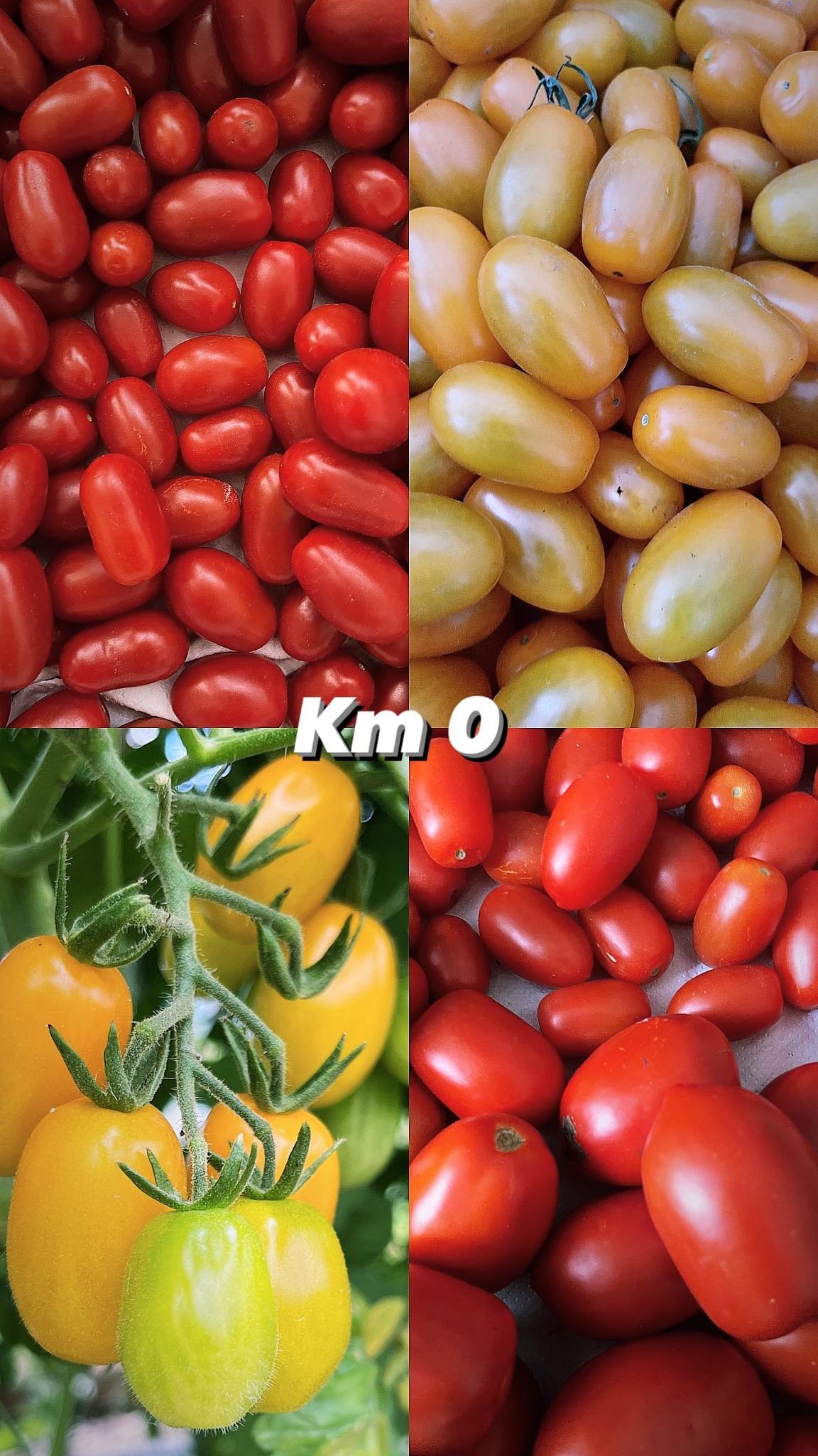 Prodotti freschi dell'orto