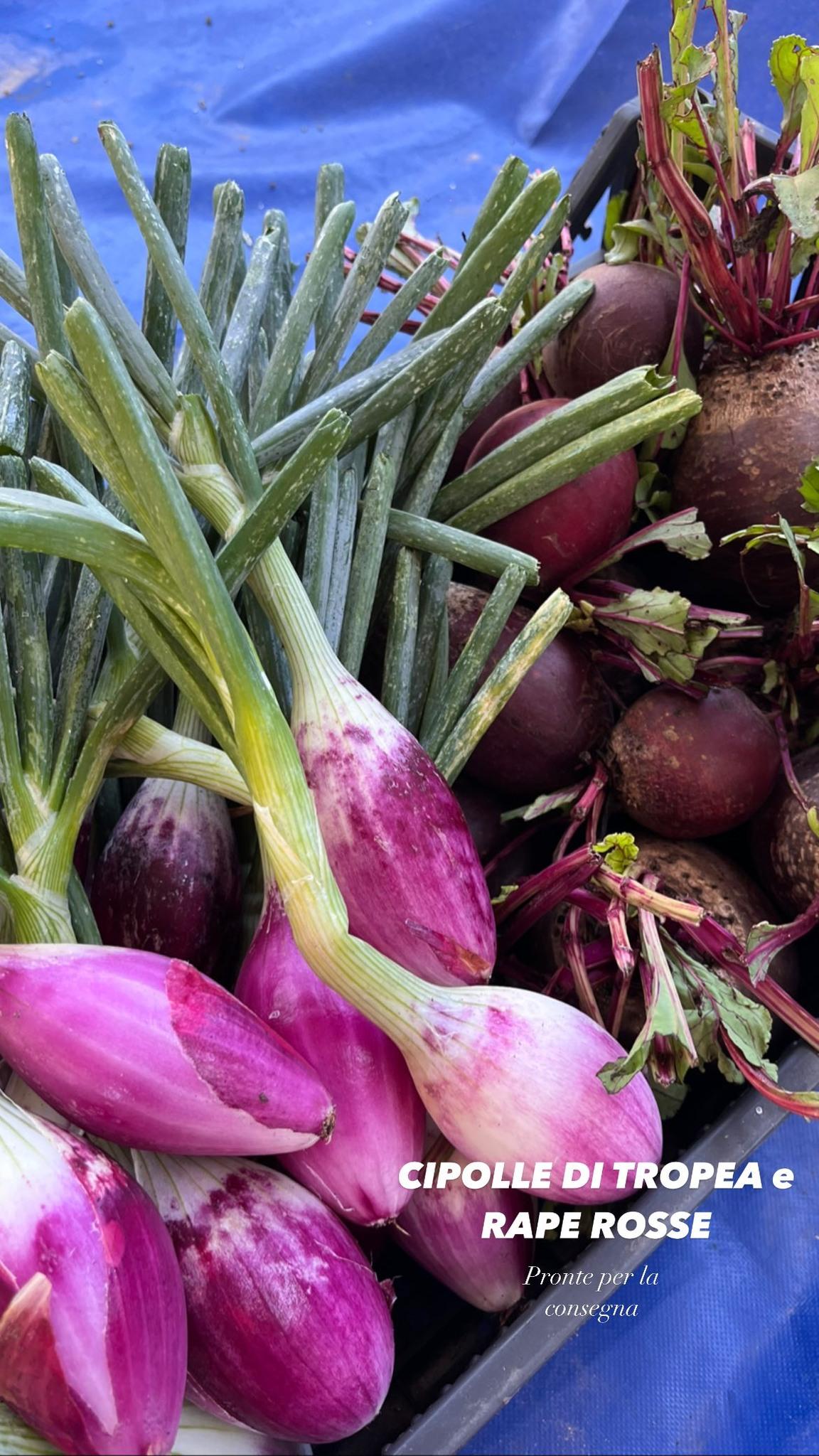 Prodotti freschi dell'orto