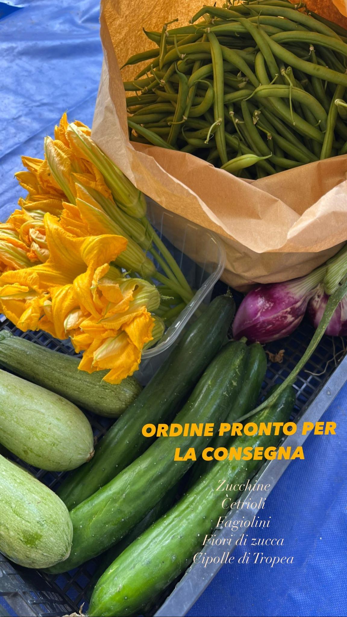 Prodotti freschi dell'orto