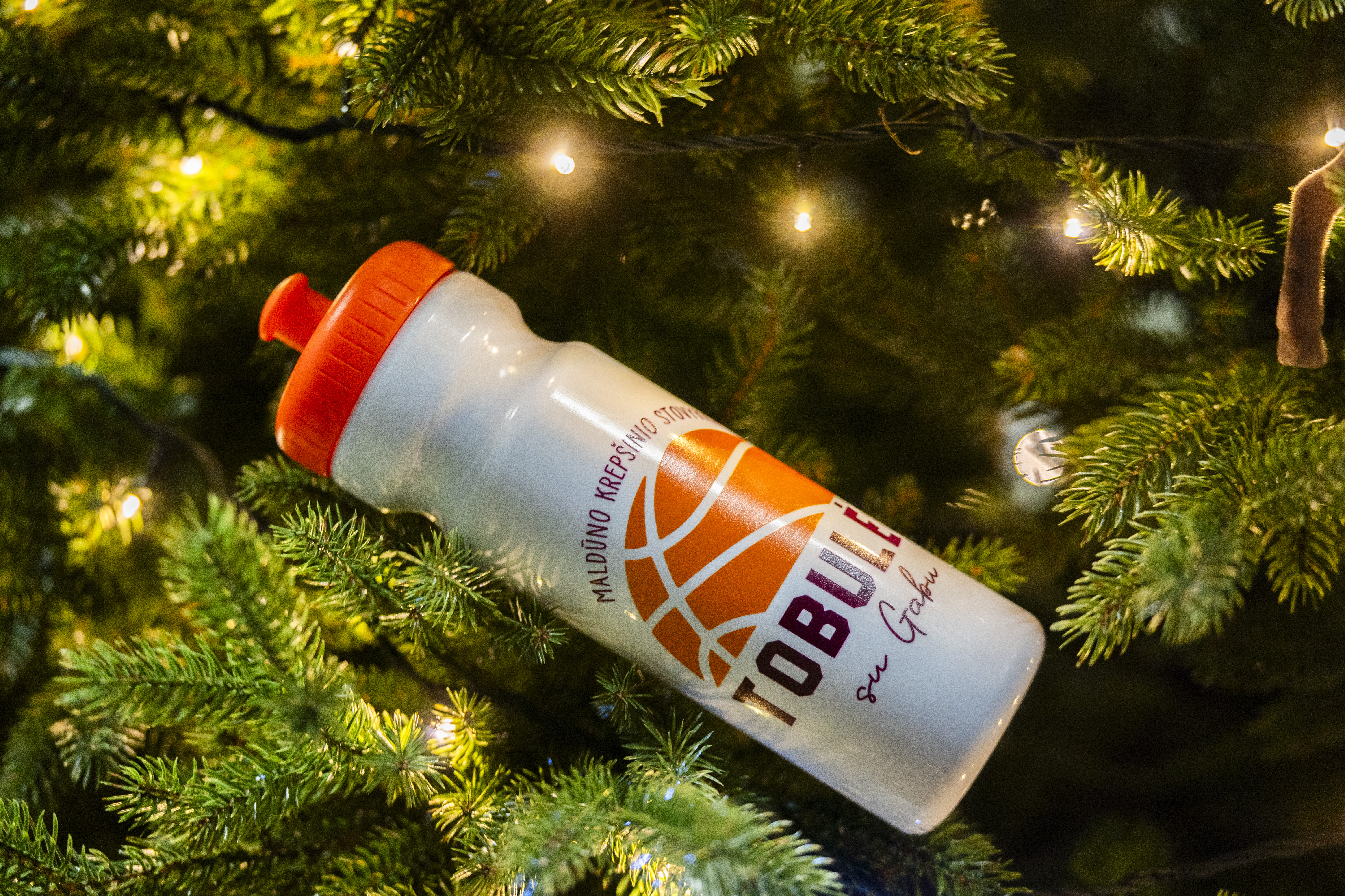 Tobulėk su Gabu gertuvė