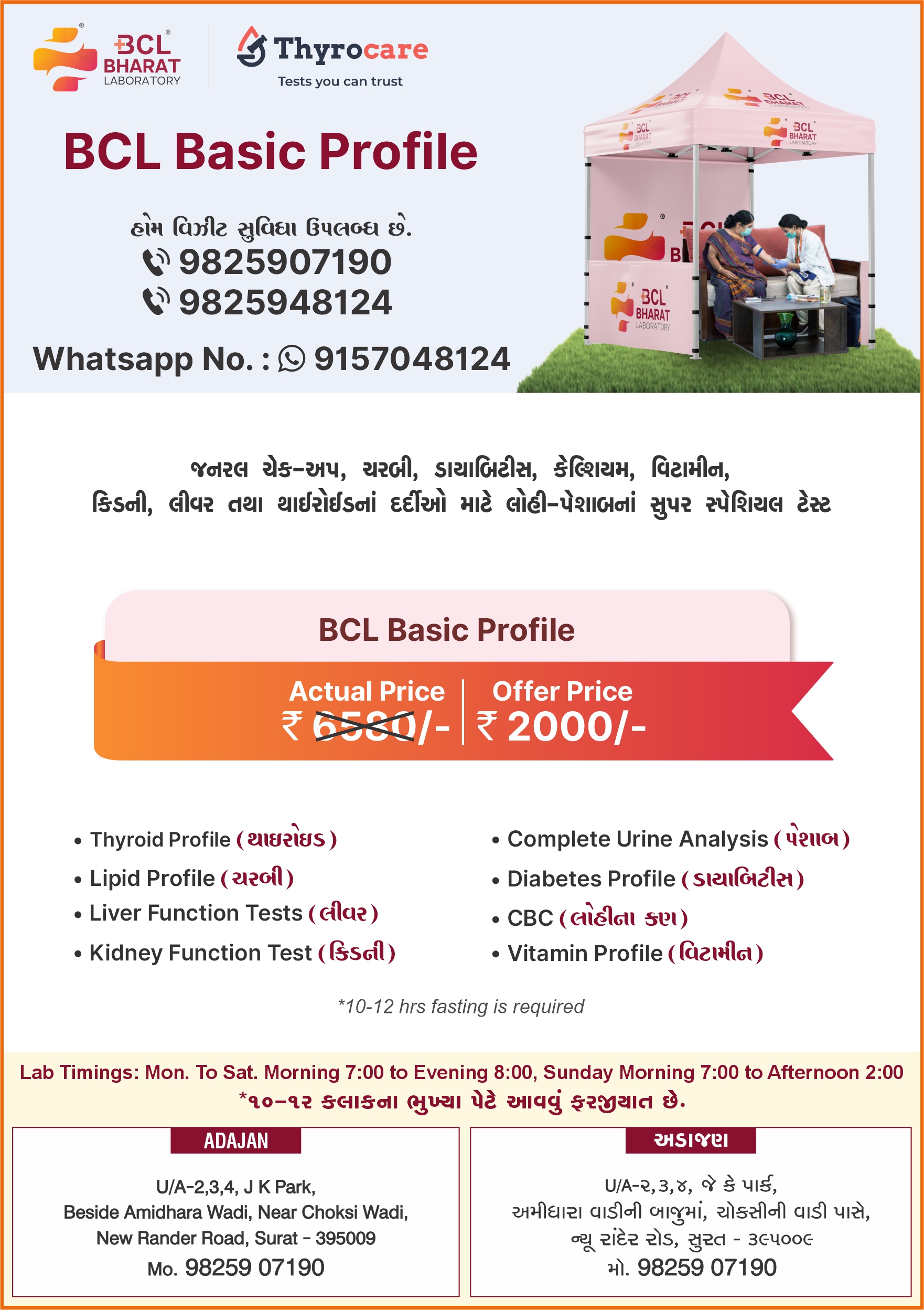 BCL Basic Profile
