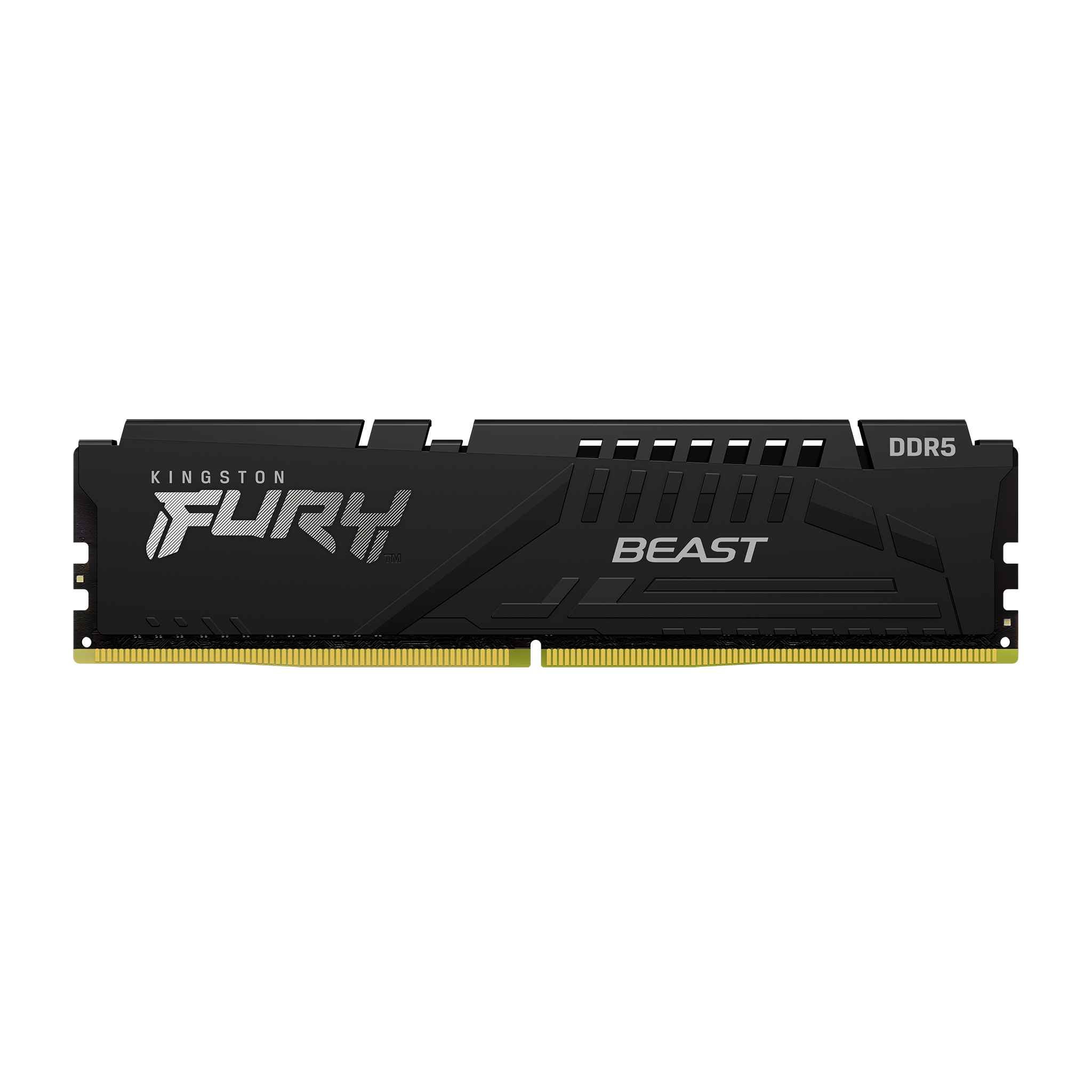 Kingston 16GB DDR5 5600MHz Fury Beast