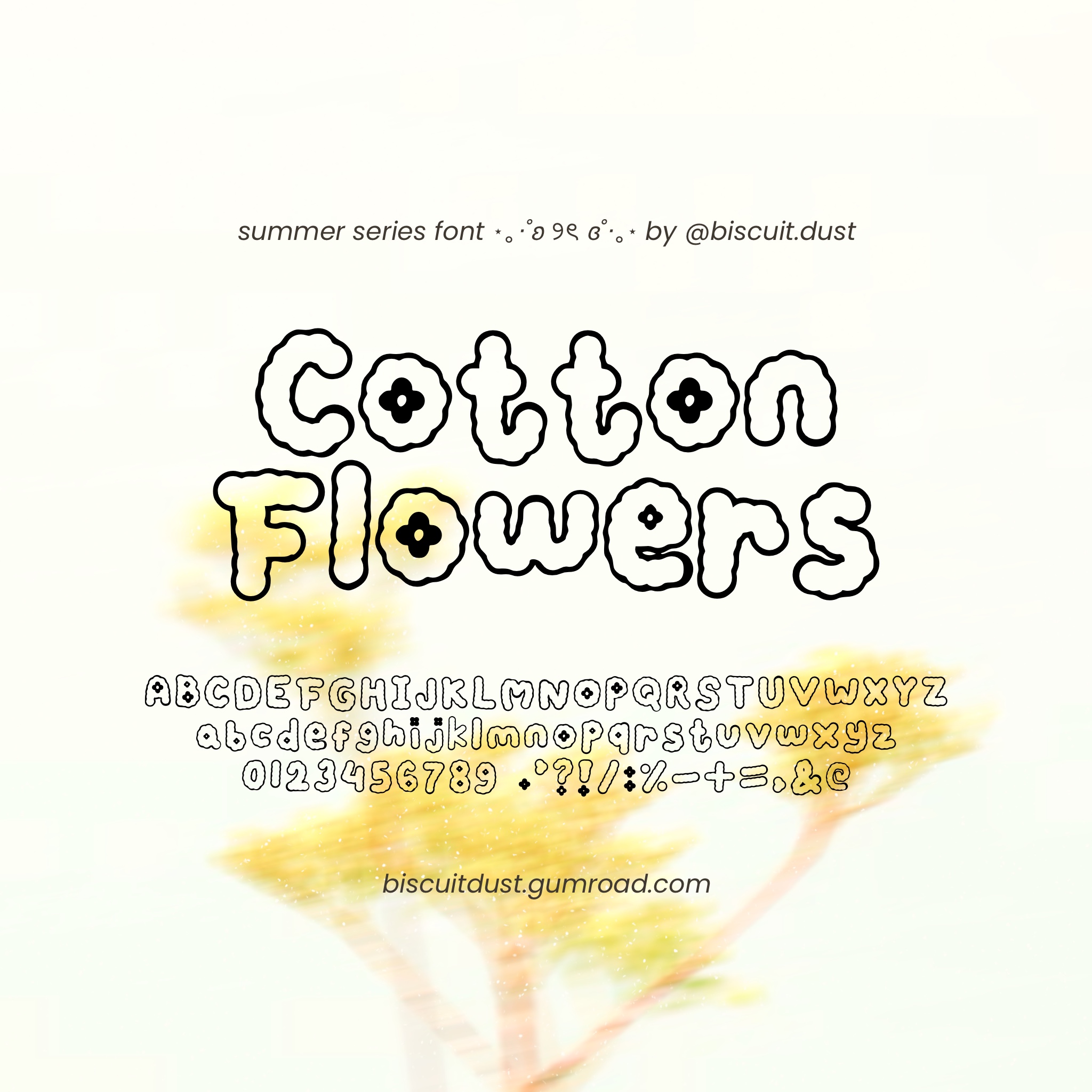 Cotton Flowers - FONT summer series