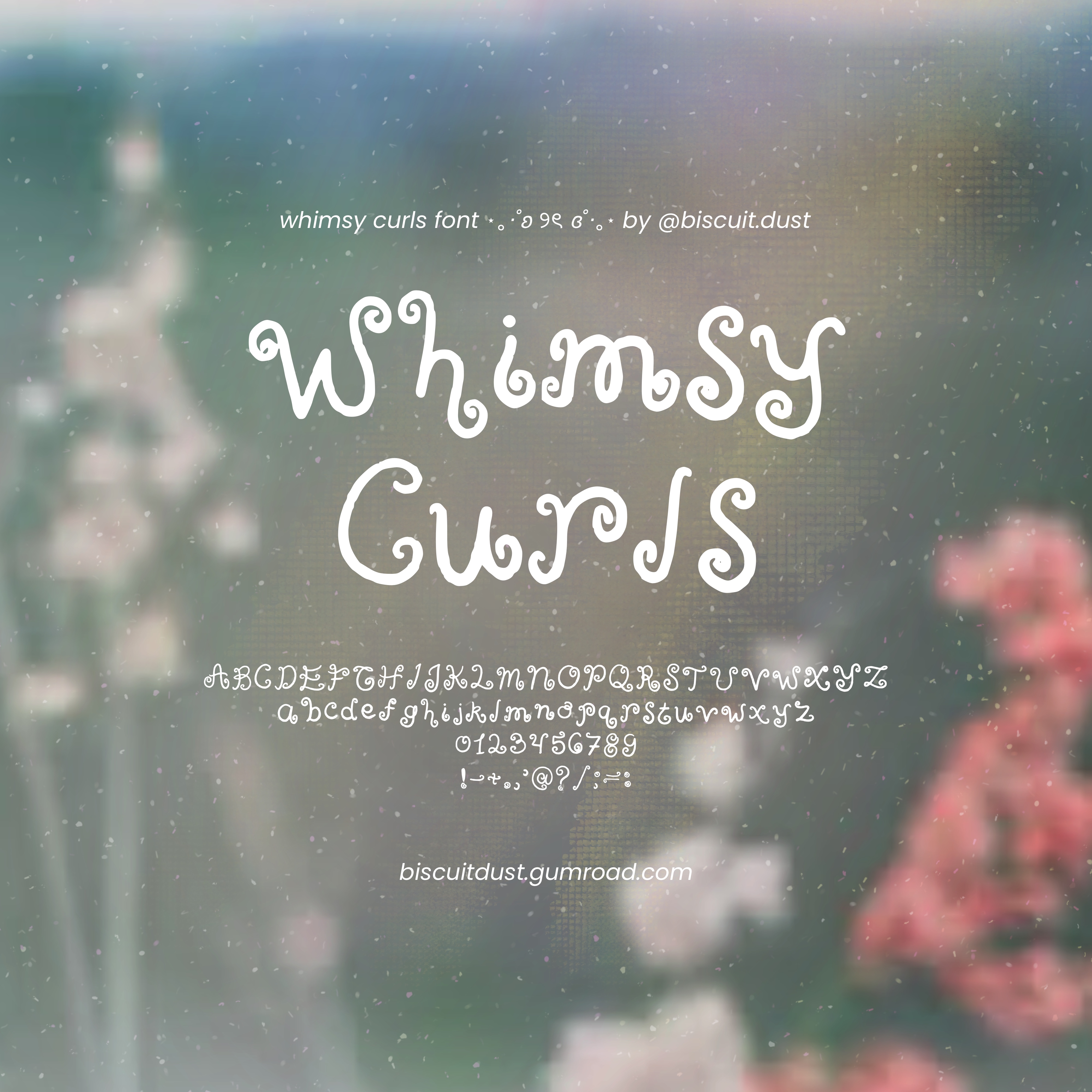 Whimsy Curls - FONT