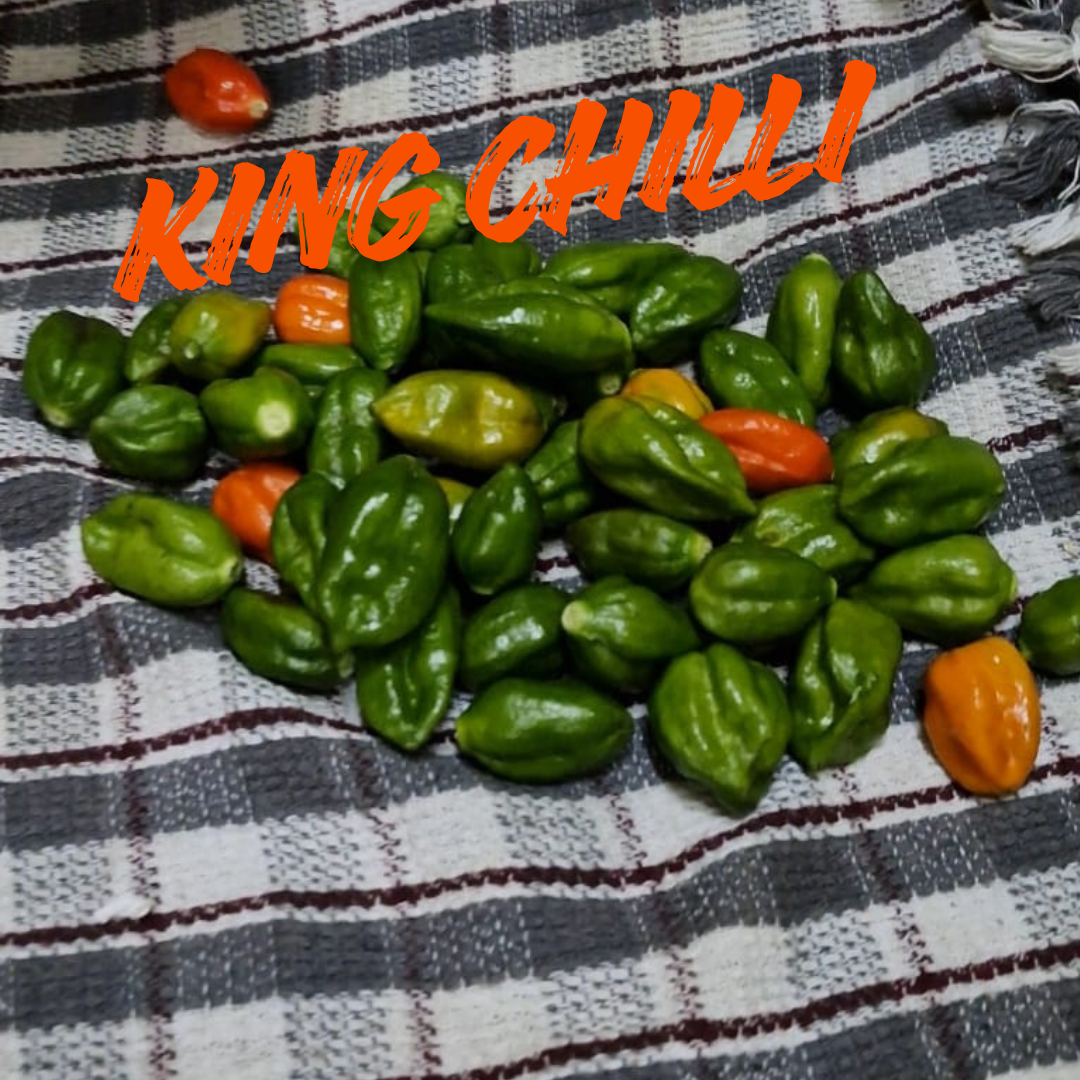 Pure Homemade Bamboo Shoot with King Chilli Pickle 180g