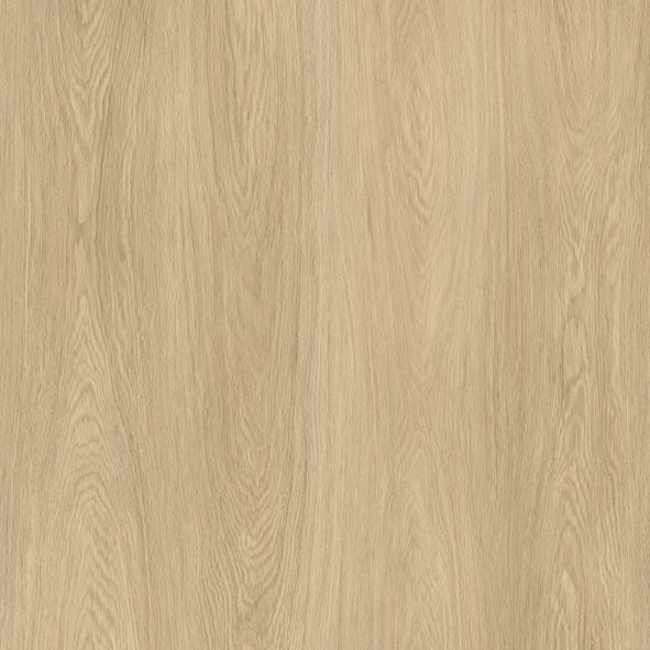 PALO - Equus - 7.0 mm