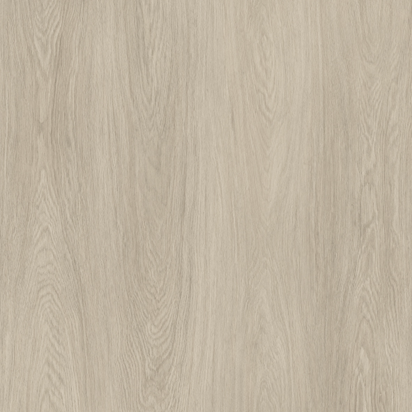 LIPPI - Equus - 5.5 mm