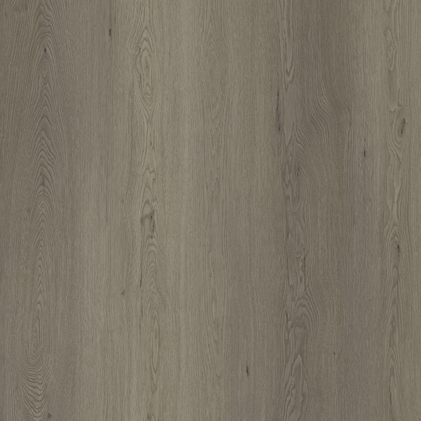 FRISÓN - Equus - 7.0 mm