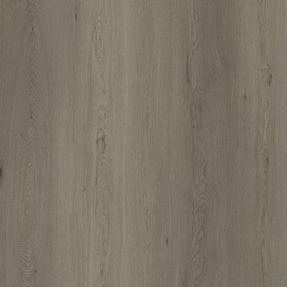 FRISÓN - Equus - 6.5 mm