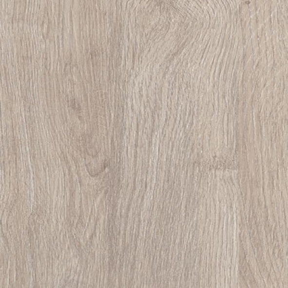  ANDALUS - Equus - 6.5 mm