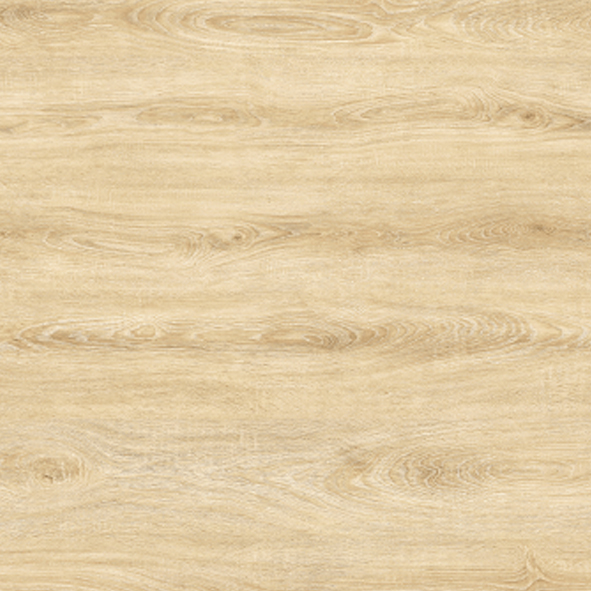 TEKE - Equus - 7.0 mm