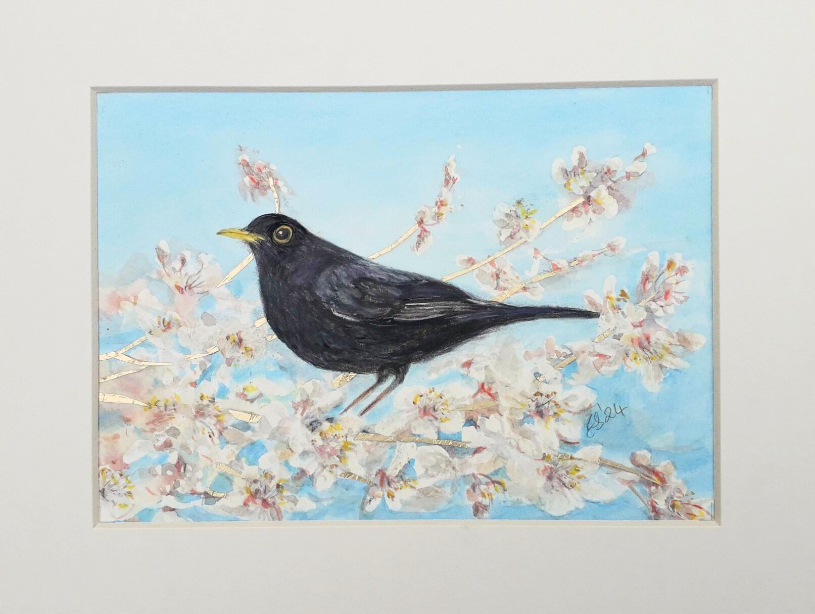 Blackbird & Blossom