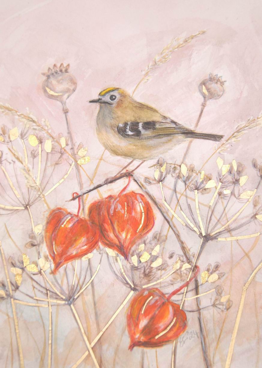 Goldcrest & Chinese Lanterns 