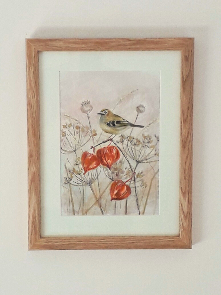 Goldcrest & Chinese Lanterns