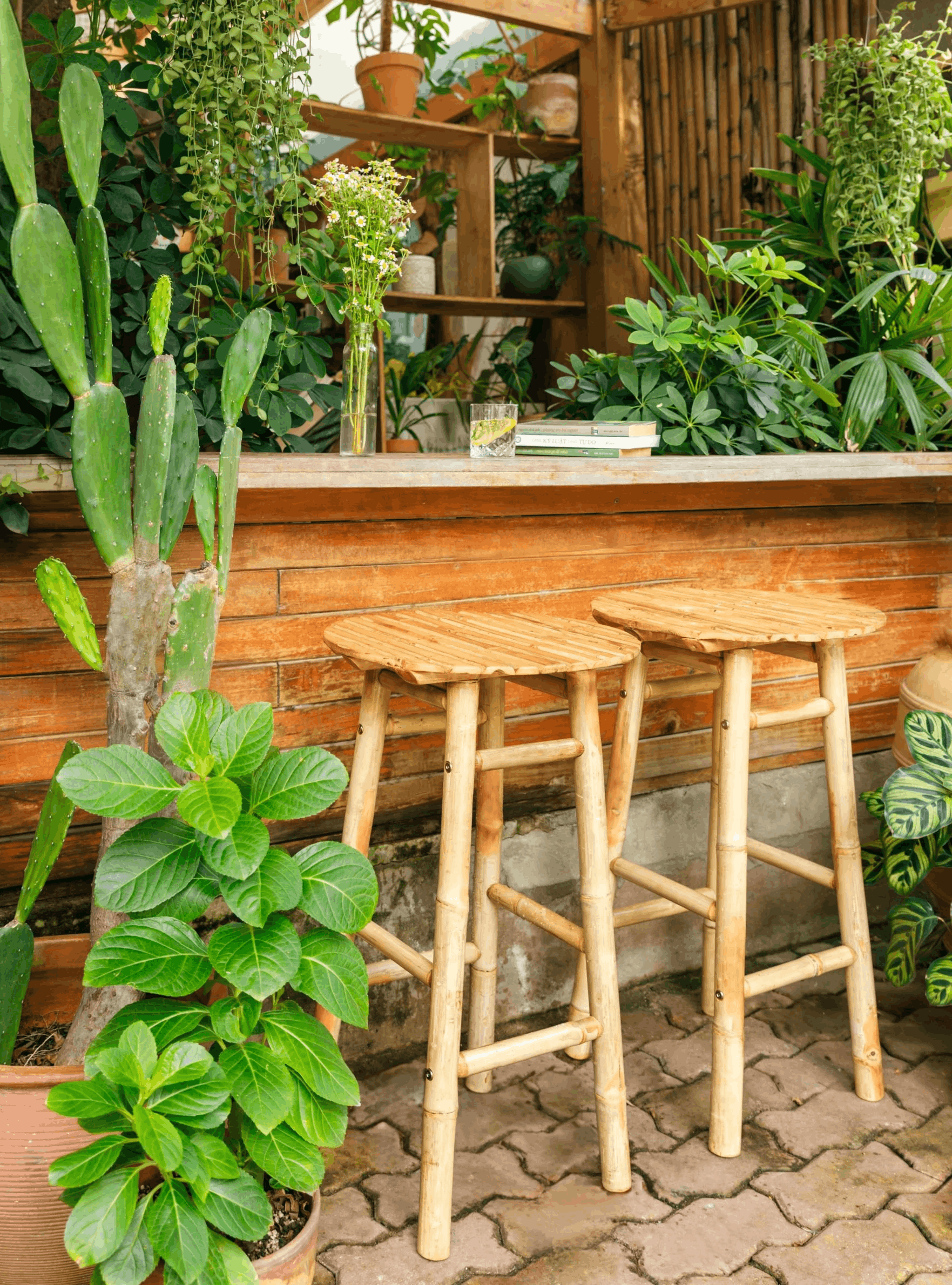 Taburetes de bambú - Córdoba