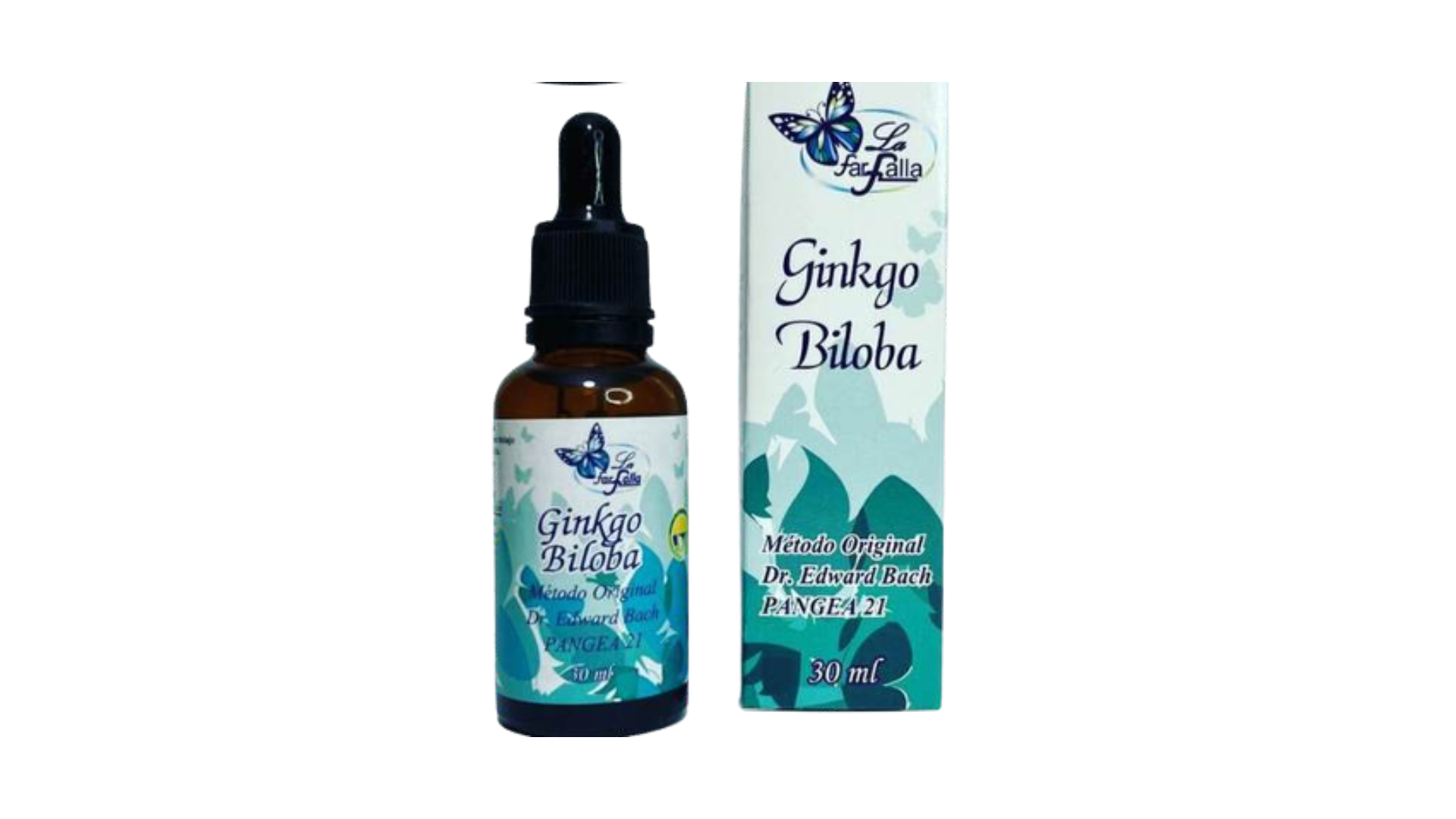 Ginkgo Biloba