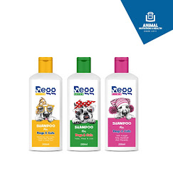 REGG - GREEN /PINK / YELLOW