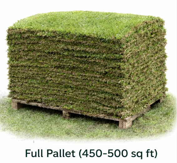 Buy a Full Pallet