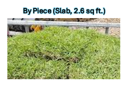 Sod By the Piece (Slab) 