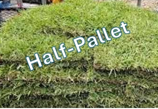 Half-Pallet 