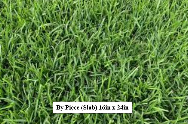 Sod - by Slab(Piece) 