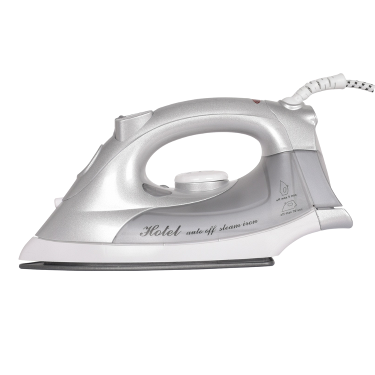 Electric Steam Iron