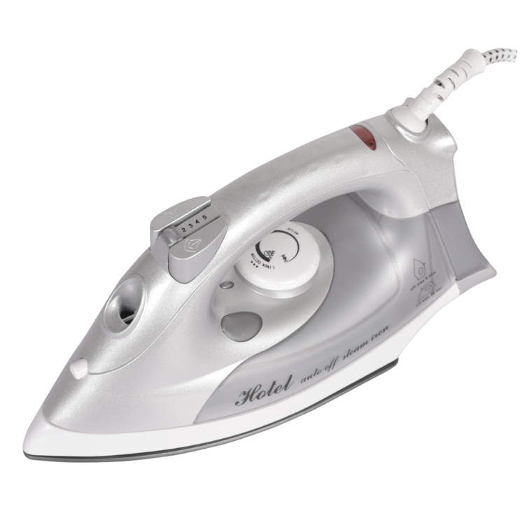 Electric Steam Iron